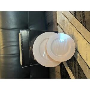 Nervure Pink Plastic Plates Set - 30 Dinner & 30 Dessert Plates